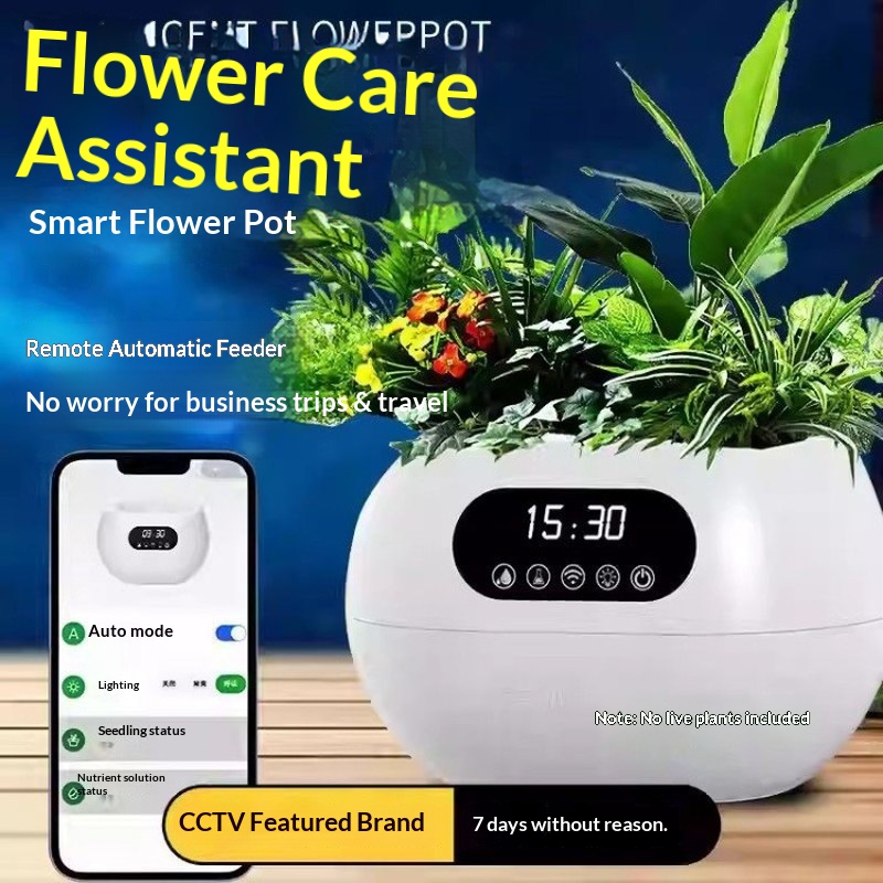 Yapay Zeka Akıllı Saksı Otomat - Flower Supply incelemesi ve fiyatı