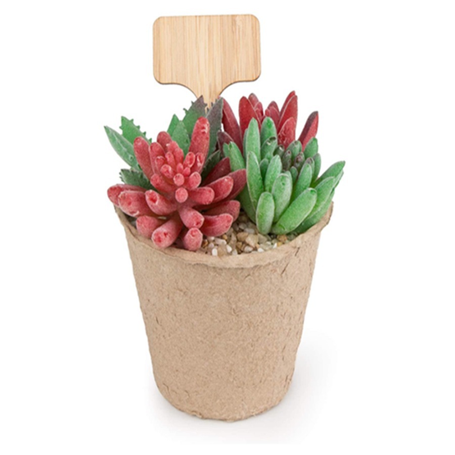 100 Adet Ahşap Bitki Etiketi Ç - Floral Picks Wood incelemesi ve fiyatı